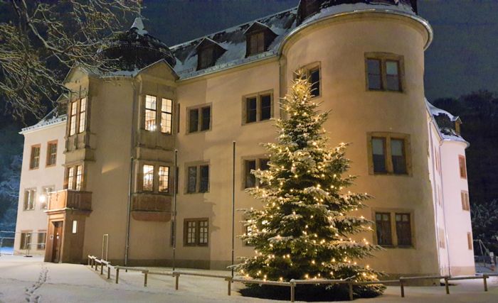 Schloss Wächtersbach mit Weihnachtsbaum im Schnee