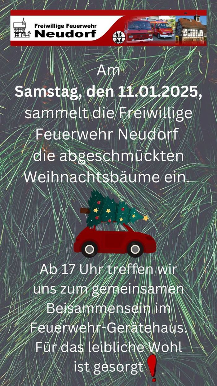 Weihnachtsbäume einsammeln